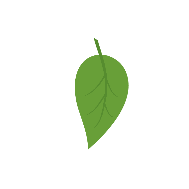 Illustration of a green leaf with simple vein structure on a blue background.
