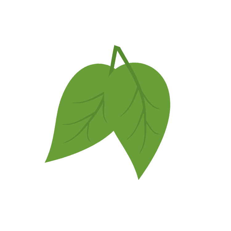 Simple illustration of two green leaves with visible veins on a plain dark green background.